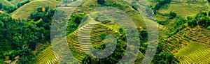 Panorama Rice field terraces in Sapa, North Vietnam