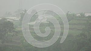 Panorama of rice fields during tropical rain