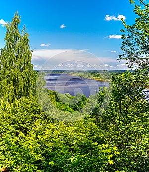 panorama of the river on a sunny summer day