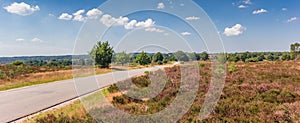 Panorama of the road going over the Holterberg mountain in Holland