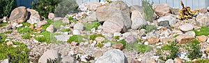 Panorama of rock garden