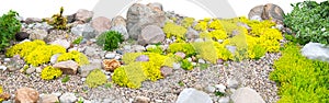 Panorama of rockery rock garden isolated on white background