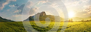 Panorama of romania countryside at sunset