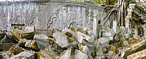 Panorama of ruins of Ta Prohm, Siem Reap, Cambodia