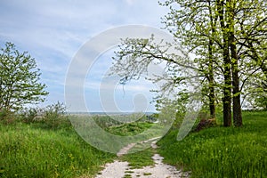Panorama of a rural landscape with a dirtpath old country road surrounded by green grass and trees in titel, in rural serbia,