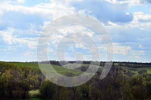 Panorama of the rural landscape in the early summer