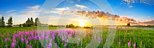 Panorama rural landscape with sunrise and blossoming meadow photo