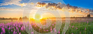 Panorama rural landscape with sunrise and blossoming meadow