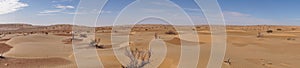 Panorama of the Sahara Desert