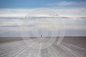 Panorama of the Salar of Uyuni with silhouette of 4x4 cars, Boli