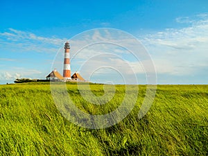 Panorama salt marshes with lighthouse Westerhever