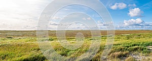 Panorama of salt marshes with sand couch and marram grass and se photo