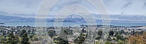San Francisco Bay Area During the Day photo