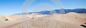 Panorama of Sand Dunes at Mesquite Flats, Death Valley
