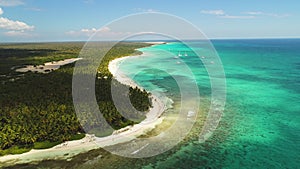 Panorama of Saona island, Dominican Republic. Wild beach and exotic coastline, aerial view