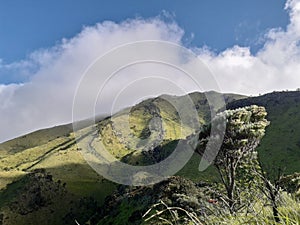 panorama of the savanna of Mount Merbabu
