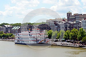 Panorama of the Savannah, Georgia.