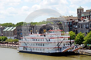 Panorama of the Savannah, Georgia.