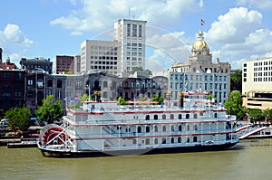 Panorama of the Savannah, Georgia.