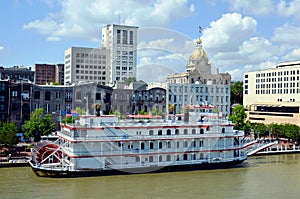 Panorama of the Savannah, Georgia.