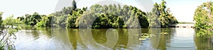 Panorama of Sawgrass lake photo