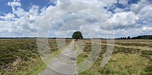 Panorama from the scenery of National Park Drents-Friese Wold