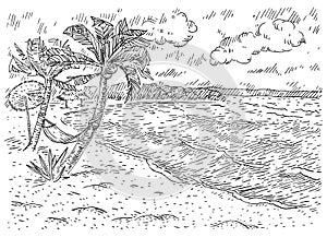 Panorama sea with palm tree, beach, hammock, umbrella, clouds. Vintage black engraving