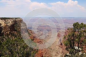 Panorama of Sedona Arizonahe famous Red Rocks