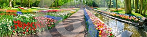 Panorama of several flowerbeds with tulips and other flowers