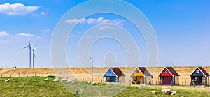 Panorama of sheep on the dike in front of colorful cabins in Termunterzijl photo