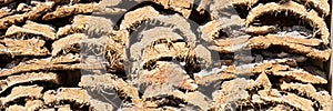 Panorama. Shelter for insects made of wood. Hotel for insects to overwinter