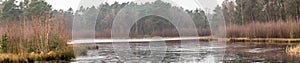 Panorama from the shore of a pond covered with ice, with trees and bushes in the background, a lot of space and width as header fo