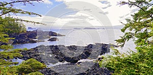 Panorama of shoreline at wild pacific trail in Ucluelet, Vancouver Island, BC