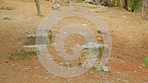 Panorama shot of ancient stone building relics, crime scene in wild forest