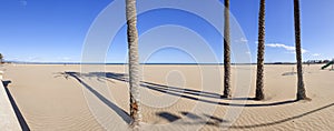 Panorama shot of a nearly empty beach with four palm trees and in the distance the port of Valencia, Spain