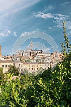 Panorama of Siena with visible Siena Cathedral. Tuscany