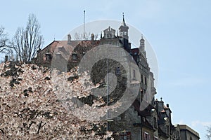 Panorama of Sigmaringen castle, Germany