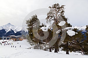 Panorama of the ski resort Arkhyz. Sunny day in Arkhyz ski resort. Winter mountains and forest