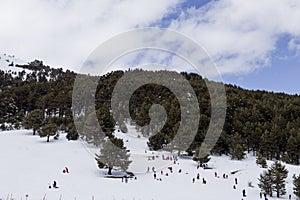 Panorama of ski resort, slope, people on the ski lift, skiers on the piste among white snow pine trees. Winter season