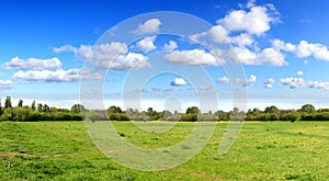 Panorama of sky clouds and grass on meadow