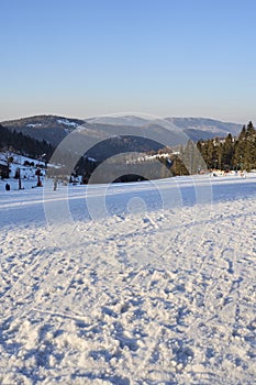 Panorama of slope in european Bialy Krzyz in Poland - vertical