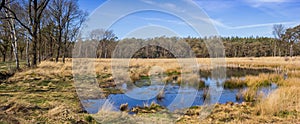 Panorama of a small pond in the forest of Drents-Friese Wold