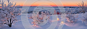 Panorama of the snow-covered forest on the eve of the substance with Christmas trees. Frost in the woods on Christmas Eve,