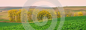 Panorama of south moravia autumn fields with a trees.