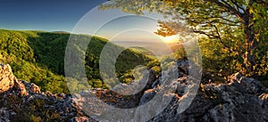 Panorama of spring with sun and tree, Slovakia