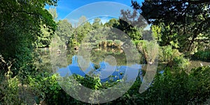 Panorama of Stave Hill Ecological park in London