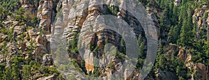 Panorama of a steep mountainside of sandstone cliffs with pine trees clinging to them