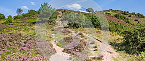 Panorama of the steps going up the Sonderland mountain in Rebild Bakker National Park