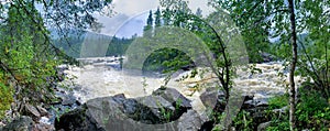 Flooding of the river on the rapids among the taiga. Wide panorama of the northern landscape of Karelia. Reserve in the North