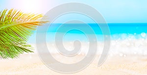 Panorama of summer beach and blurred blue sky with leaves of coconut palm tree